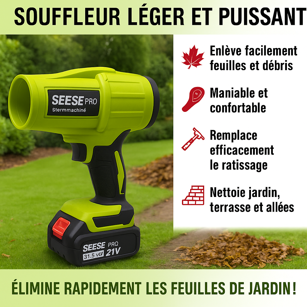 Image générée