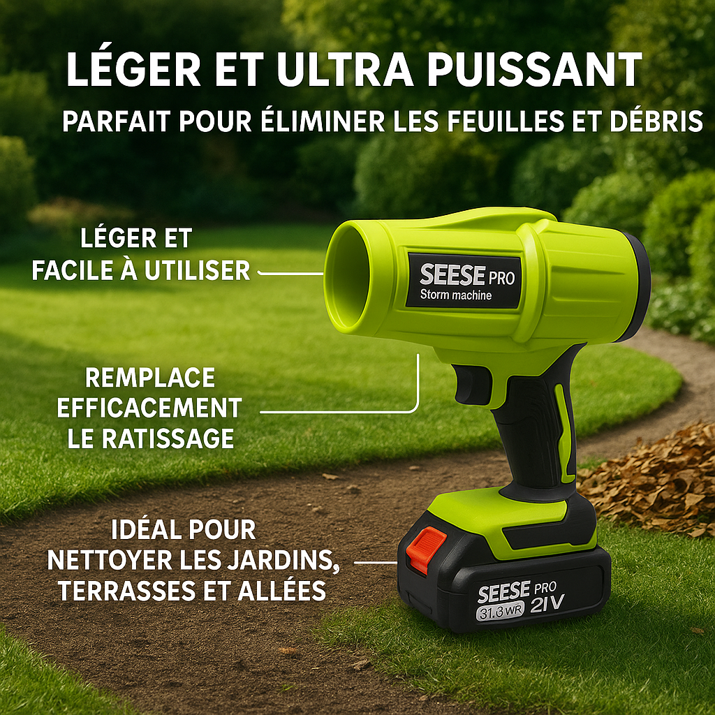 Image générée