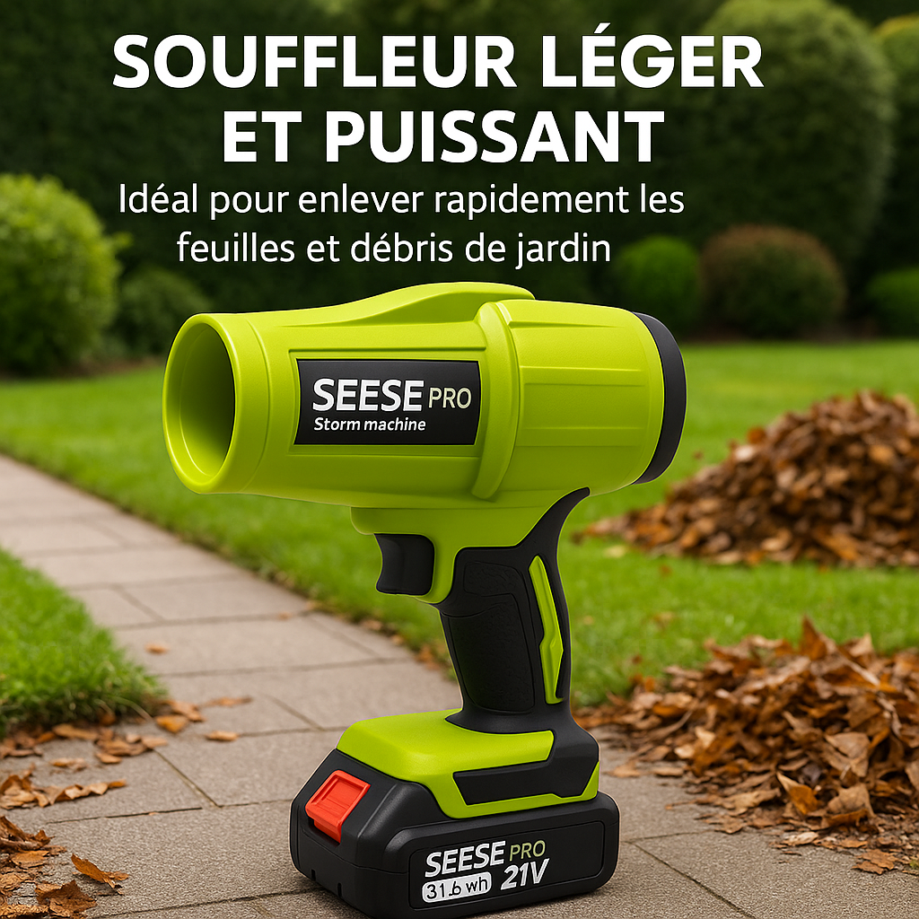 Image générée
