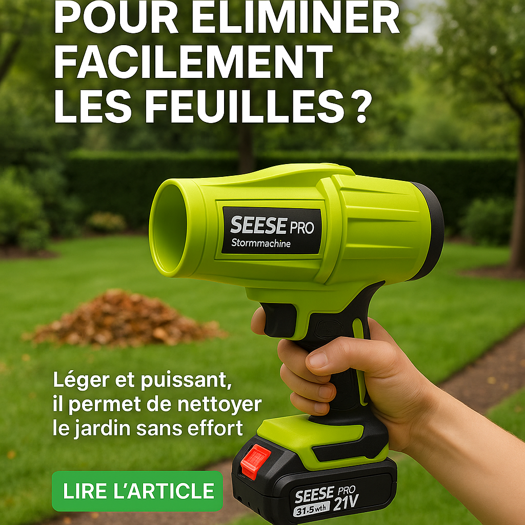 Image générée