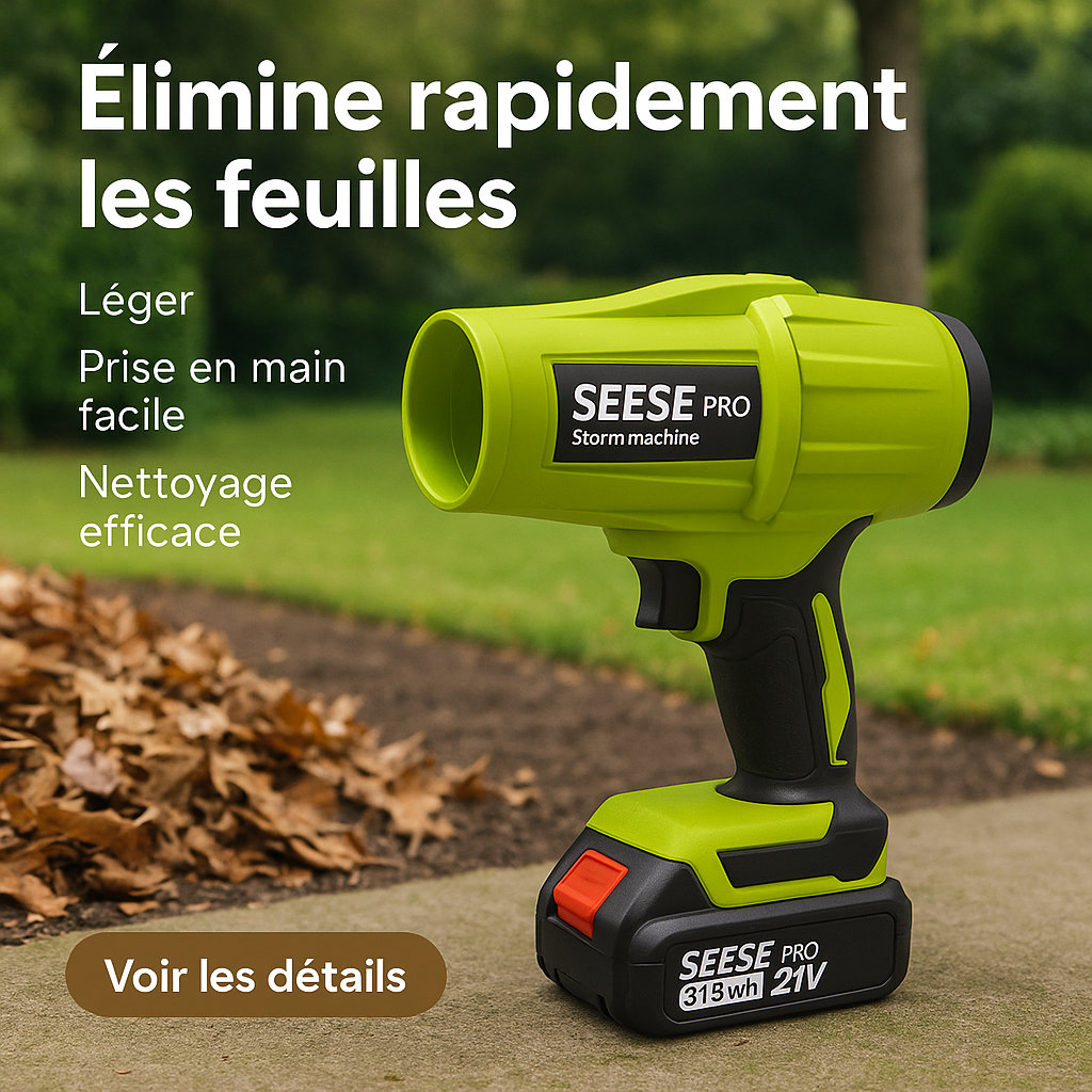 Image générée