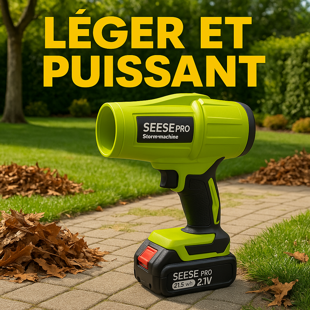 Image générée