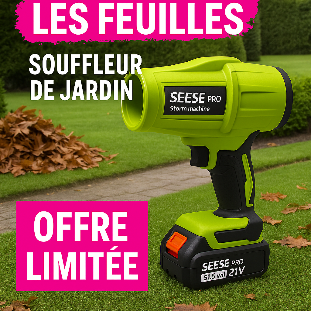 Image générée