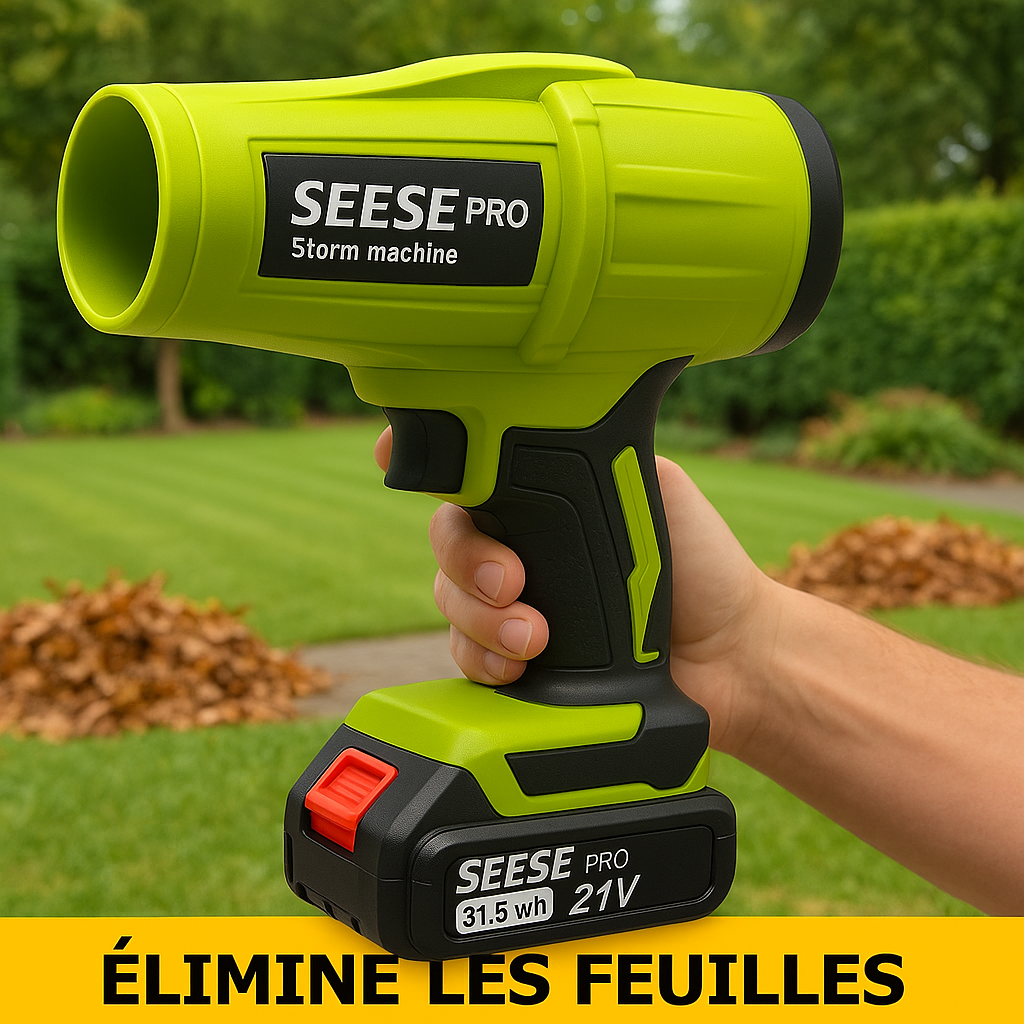 Image générée